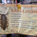 Una cerveza artesanal elaborada con chinches acuáticos gigantes de venta al público