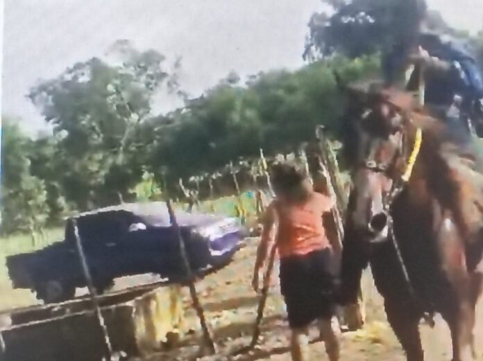 matar